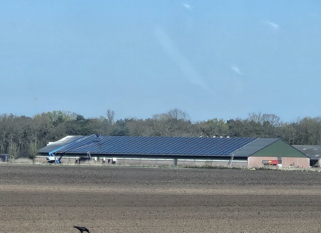Zonnepark in Noord-Limburg met rijen zonnepanelen